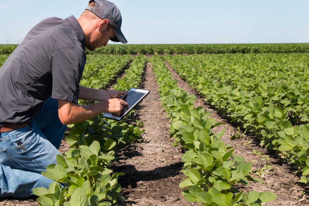 Usos registro actividades agrícolas